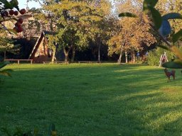 foto_28
