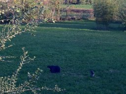 foto_30