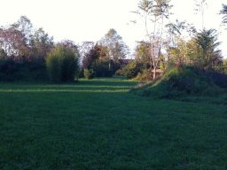 foto_35